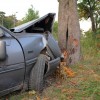 Car crash into tree