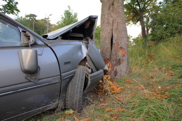 Car crash into tree