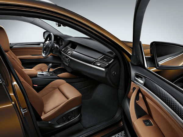 2016 BMW X6 Passenger Door Interior