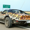 Leopard-print Corvette