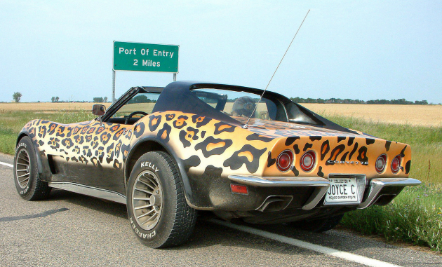 Leopard-print Corvette