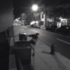 hitchbot surveillance footage
