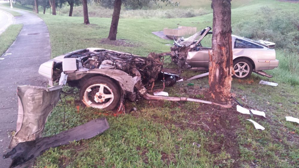 Crashed Nissan with surprisingly strong tree