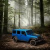 2016 Jeep Wrangler Unlimited Black Bear Edition Silhouette