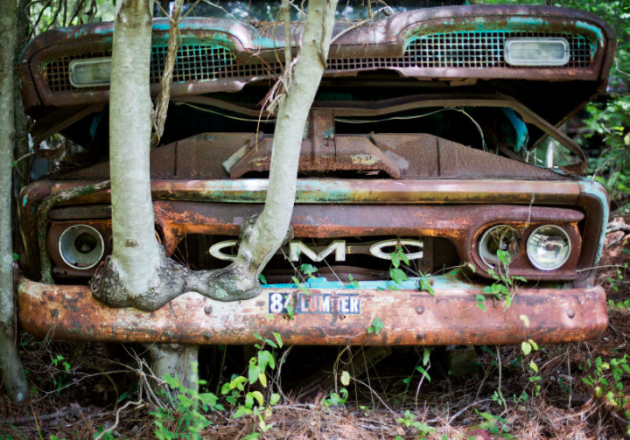 Old Car City Tree Through Bumper