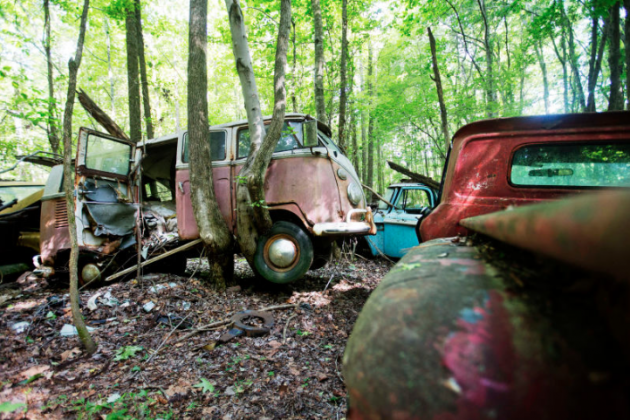 Old Car City VW Bus and Tree