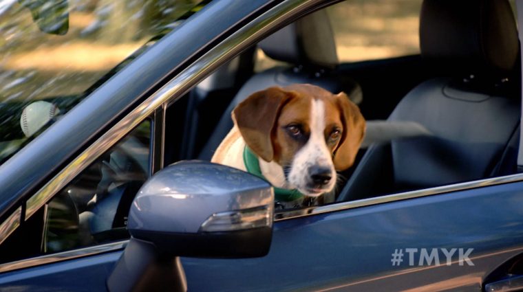 Andy Cohen, his dog Wacha, and a Subaru star in the newest "The More You Know" spot to promote pet adoption