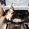 Subaru and the Center for Pet Safety most recently studied pet travel seats to determine the actual safety value