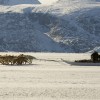 Dog Sledding