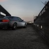 2016 Dodge Challenger Back End Silhouette