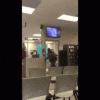 FLORIDA WOMAN SEAL CRAWL DMV FIGHT