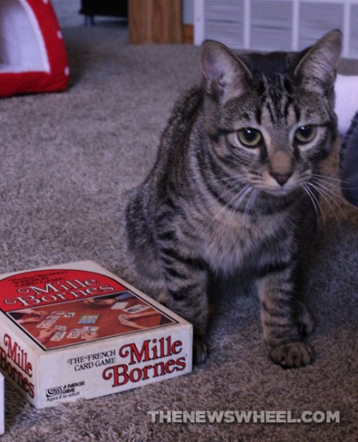 Mille Bornes French Card Game Review Cat