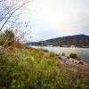 Toyota Portland Vehicle Distribution Center bioswale