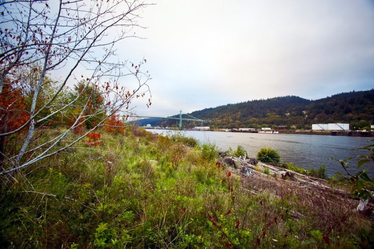 Toyota Portland Vehicle Distribution Center bioswale