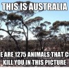 this-is-australia