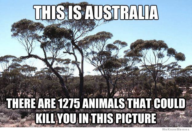 this-is-australia