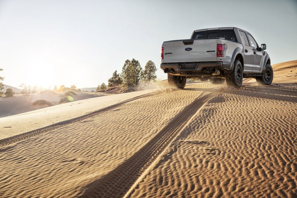 Gray F-150 Raptor SuperCrew Dunes Rear