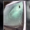 Honda Civic windshield hit by seagull