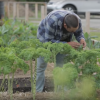 Fisheye Farms founder Andy Chae in the 2016 Chevrolet Silverado "Farm-to-Table" video