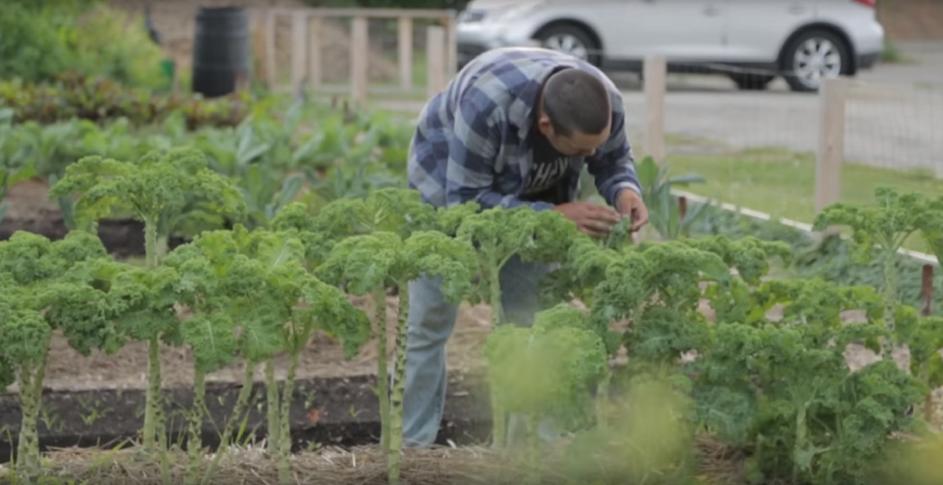 Fisheye Farms founder Andy Chae in the 2016 Chevrolet Silverado "Farm-to-Table" video