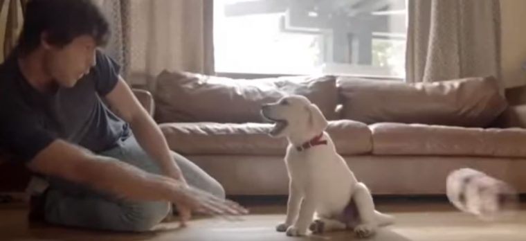 Budweiser Friends Are Waiting Drinking and Driving Dog Ad