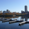 Buffalo New York Skyline