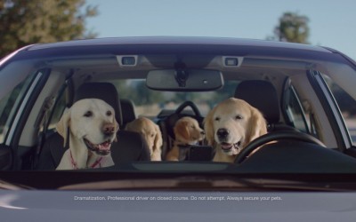 The Barkleys are back in five new Subaru dog commercials, as part of the "Dog Tested. Dog Approved." campaign