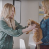 Actress Ashley Benson supports Wags and Walks for Chevy's #DayItForward campaign