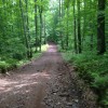 Florence County ATV trails