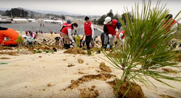 Nissan Tsunami recovery Volunteers