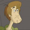 Shaggy Rogers from Scooby Doo