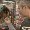 Watch What Happens: Live host Andy Cohen feeds a dog at Social Tees Animal Rescue shelter as part of Chevrolet's #DayItForward campaign