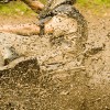 off-road mud parks ATV racing