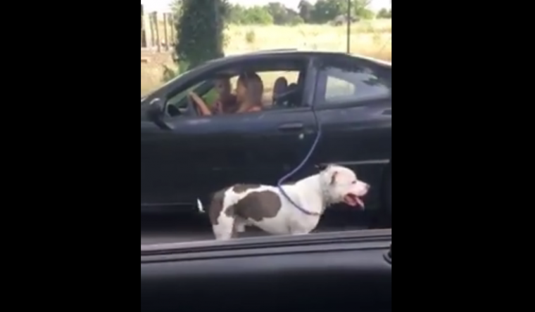 Video shows California woman walking dog with Pontiac Sunfire