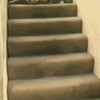 Cat Falling Down Stairs