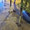 Moldova stealing pavement