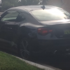 magpie attacks toyota 86