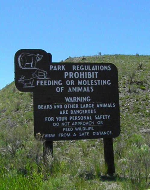 Yellowstone sign