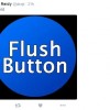 Flush Button