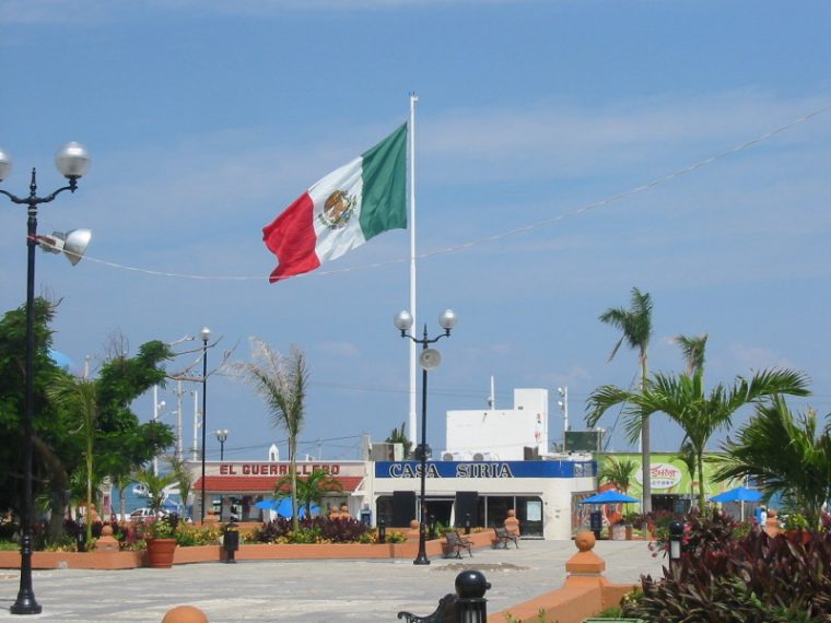 Mexico Flag