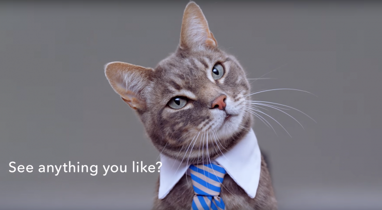 Honda creates "Meow is the Moment" 2016 CR-V commercial featuring singing cats