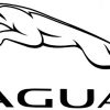 original Jaguar logo pouncing