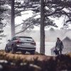 Volvo has finally released pictures of its newV90 Cross Country that’s set to go into production this fall