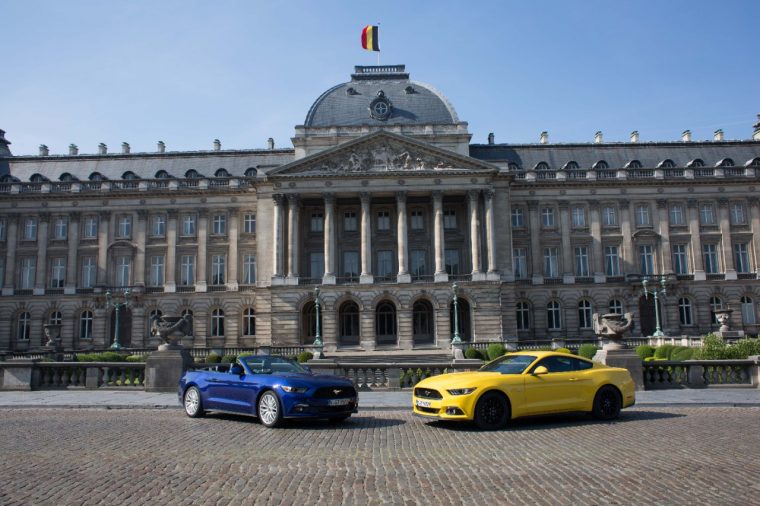 Mustangs at the Royal Palace of Brussels