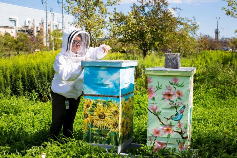 Mary Mason Ford Rouge Complex honeybees