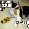 Used Car Salesman Cat