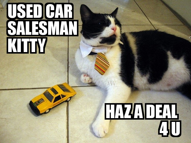 Used Car Salesman Cat