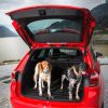 two dogs, one Opel Astra Sports Tourer