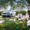 Opel Zafira and puppies