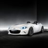 Mazda MX-5 Miata Speedster Evolution